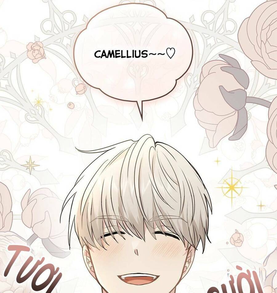 tìm lại camellia Chương 33 - Next Chapter 34