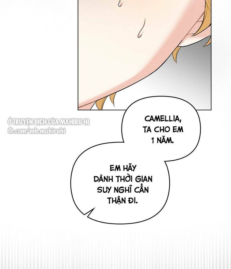 tìm lại camellia Chương 35 - Next Chapter 36