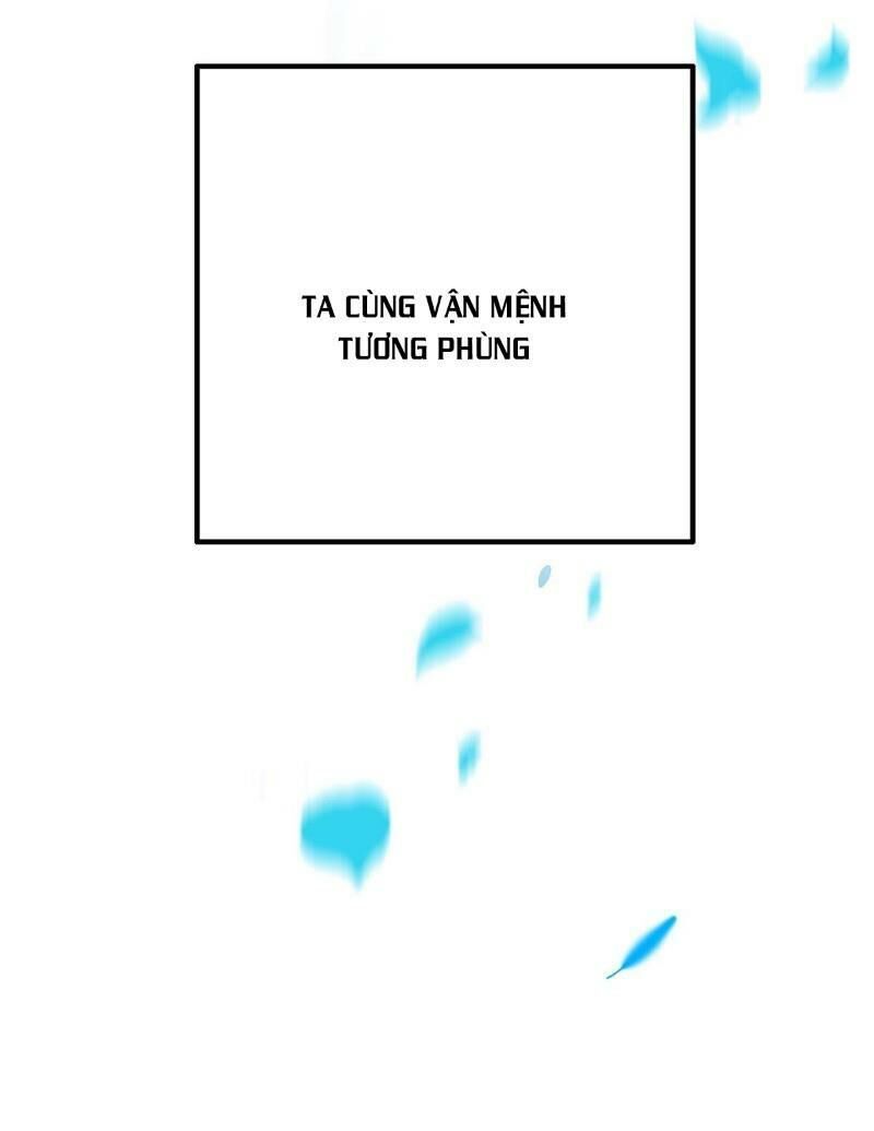 ta ở dị giới nuôi dưỡng nam thần: thần y cửu tiểu thư Chapter 2 - Trang 5