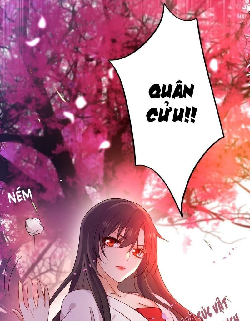 ta ở dị giới nuôi dưỡng nam thần: thần y cửu tiểu thư Chapter 7 - Trang 5