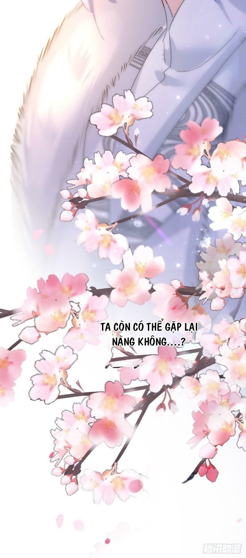 ta ở dị giới nuôi dưỡng nam thần: thần y cửu tiểu thư Chapter 20 - Next Chapter 21