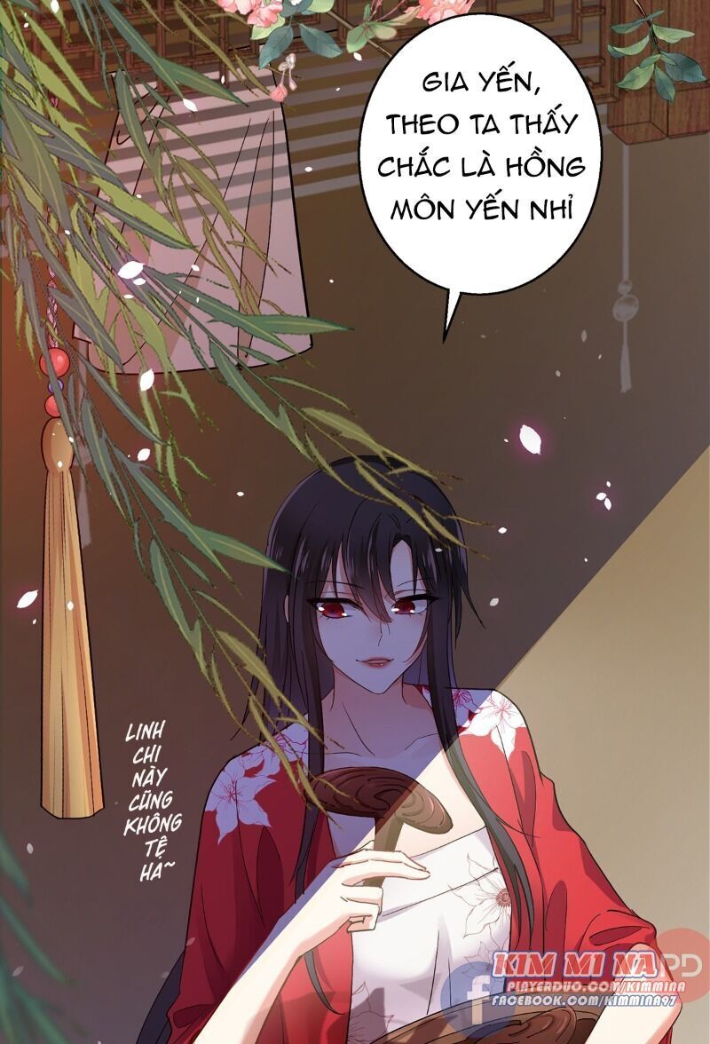 ta ở dị giới nuôi dưỡng nam thần: thần y cửu tiểu thư Chapter 29 - Trang 5