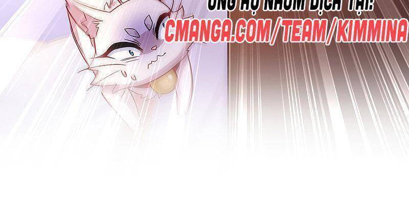 ta ở dị giới nuôi dưỡng nam thần: thần y cửu tiểu thư Chapter 64 - Trang 5