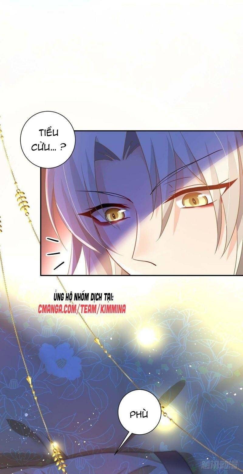 ta ở dị giới nuôi dưỡng nam thần: thần y cửu tiểu thư Chapter 80 - Trang 5