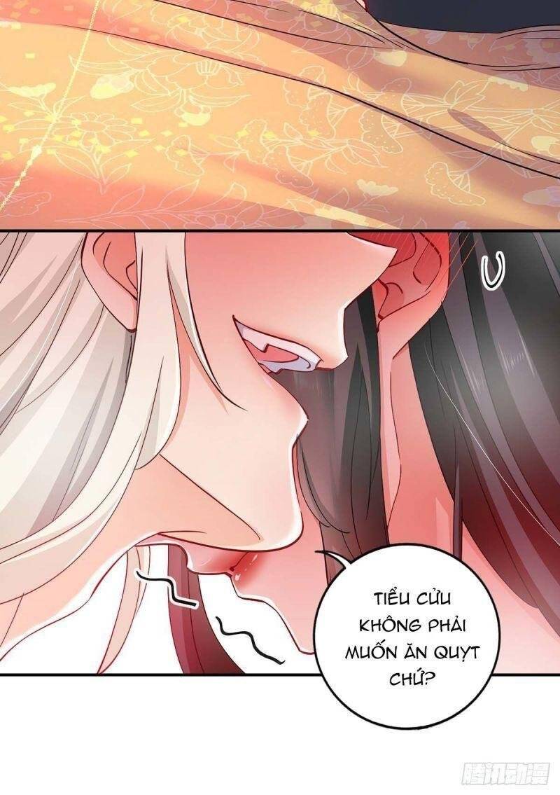 ta ở dị giới nuôi dưỡng nam thần: thần y cửu tiểu thư Chapter 83 - Trang 5