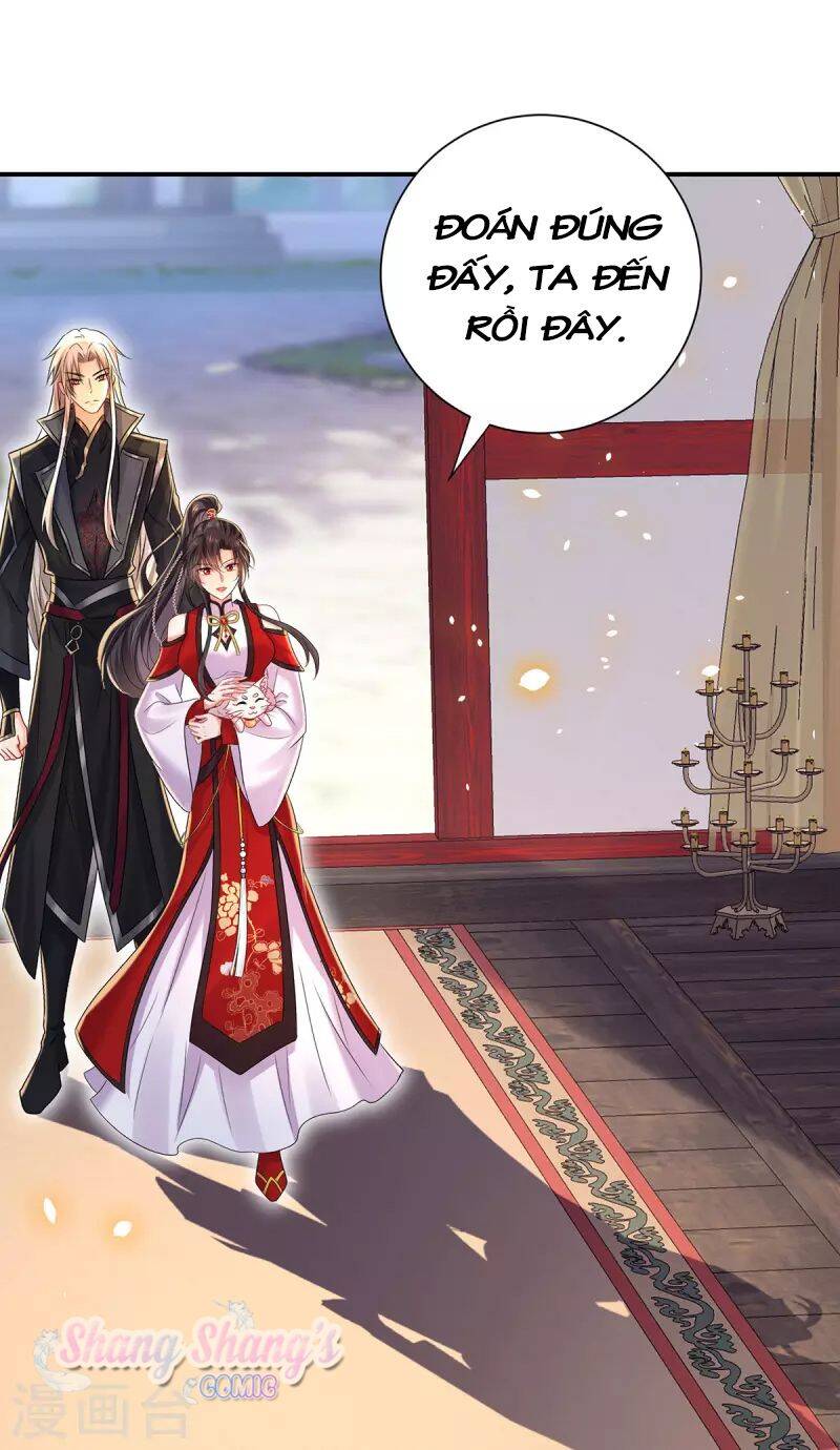 ta ở dị giới nuôi dưỡng nam thần: thần y cửu tiểu thư chapter 216 - Next chapter 217