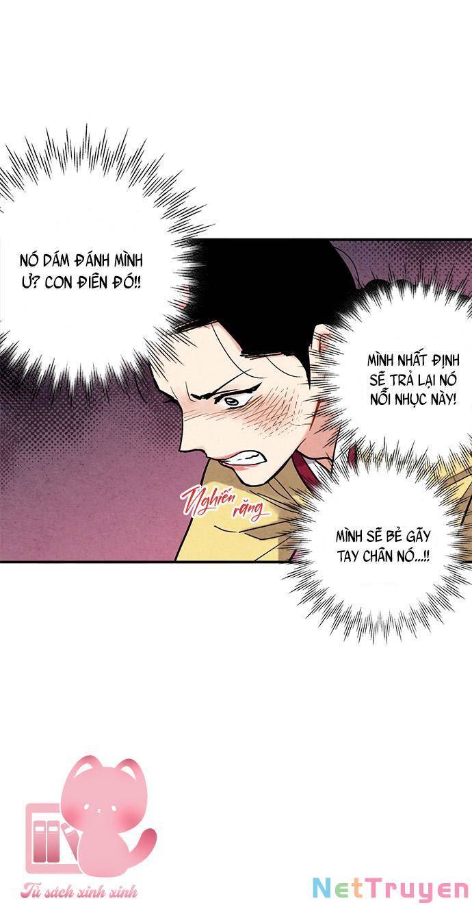 lệnh cấm hôn của hoàng đế bệ hạ chapter 81 - Next chapter 82