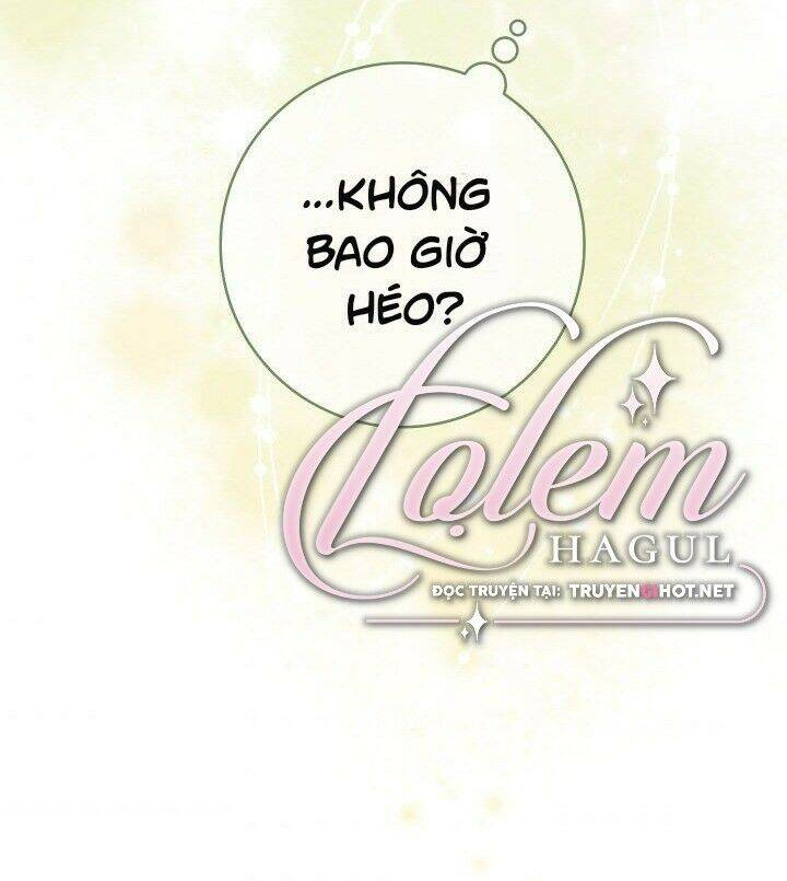 cuộc hôn nhân vụ lợi chapter 23 - Next chapter 24