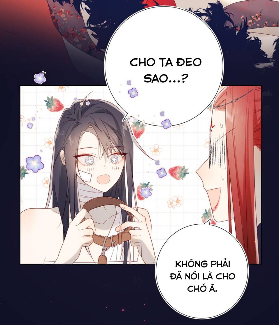 ác nữ cự tuyệt cua nam chính Chap 53.5 - Next chapter 53.5: phiên ngoại