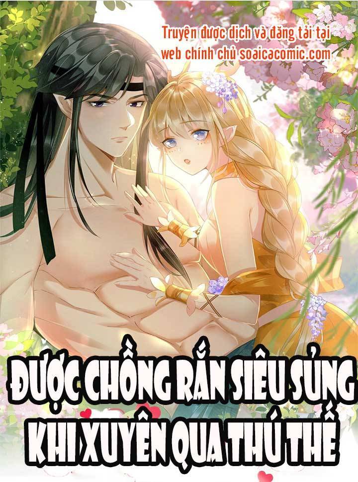 được chồng rắn siêu sủng khi xuyên qua thú thế chapter 5 - Next chapter 6