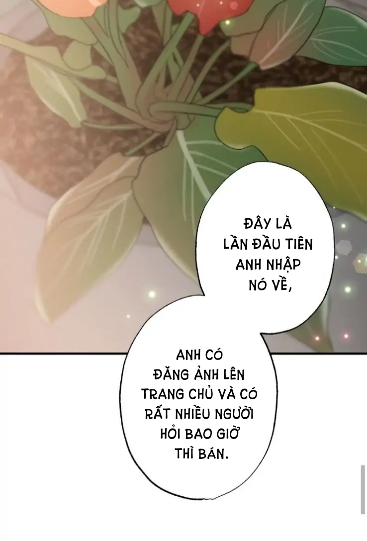 [18+] dục vọng đen tối Chap 53.1 - Trang 2