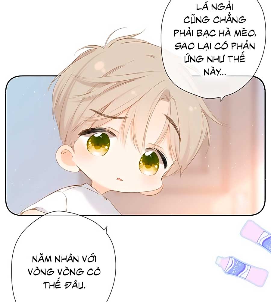 lại gặp được em Chap 40.5 - Trang 2