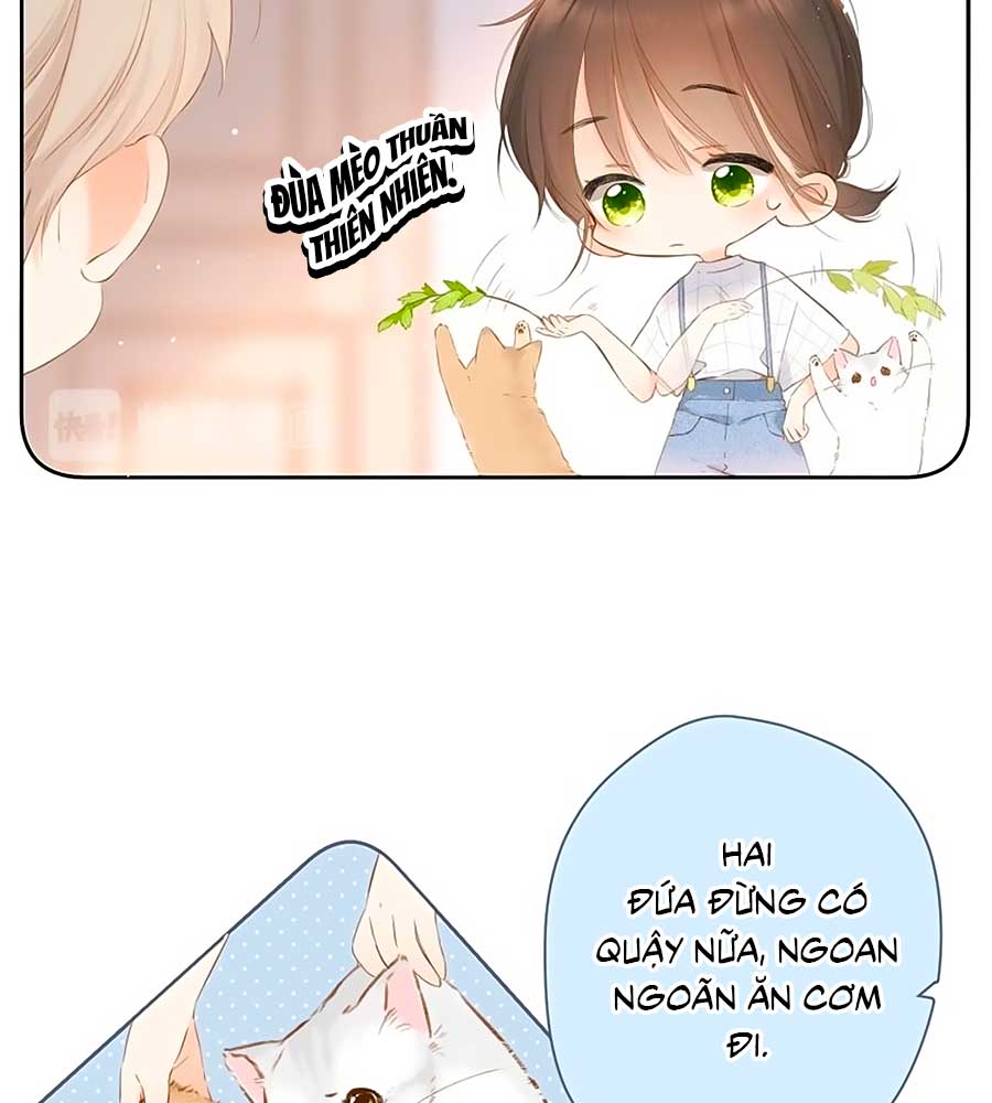 lại gặp được em Chap 40.5 - Trang 2