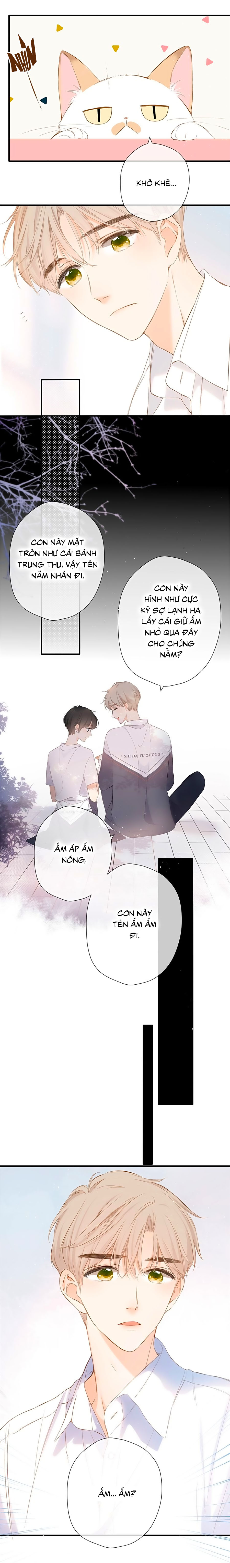 lại gặp được em chương 43 - Next Chap 44.5