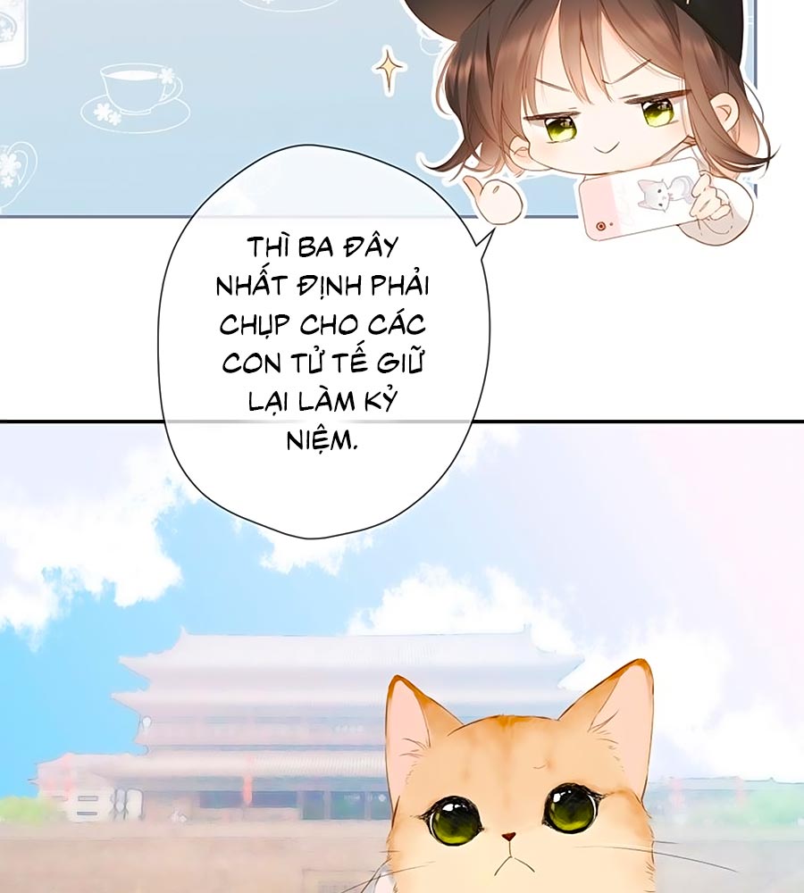 lại gặp được em Chap 54.5 - Trang 2