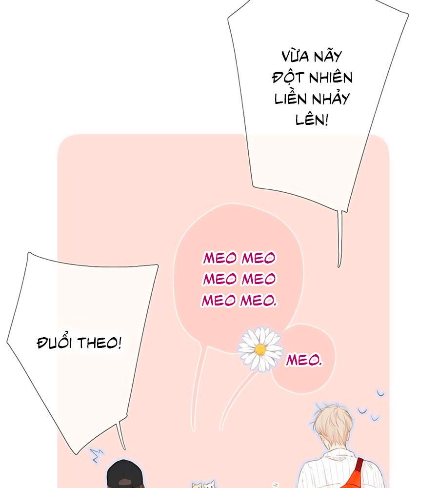 lại gặp được em Chap 54.5 - Trang 2