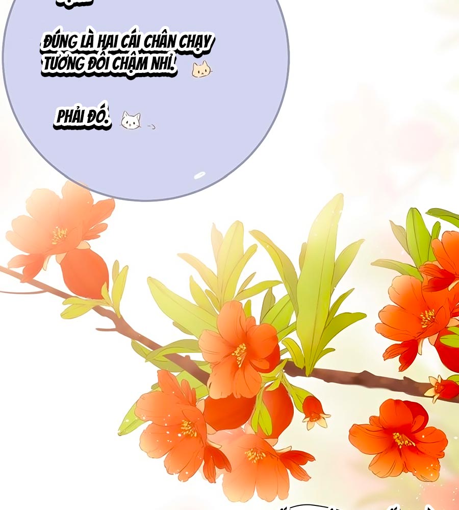 lại gặp được em Chap 54.5 - Trang 2