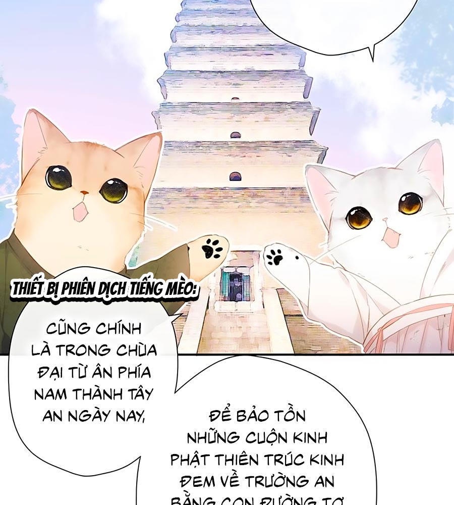 lại gặp được em Chap 54.5 - Trang 2