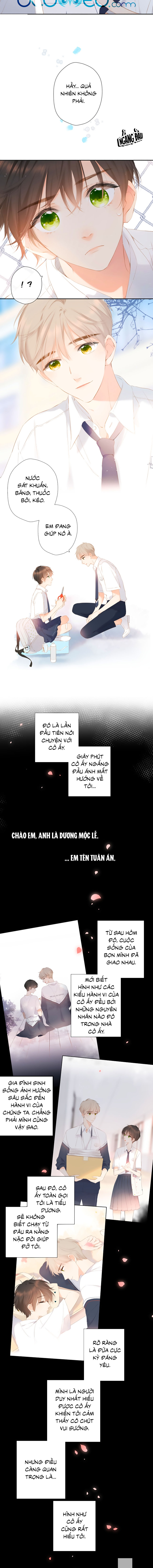 lại gặp được em chapter 87 - Trang 5