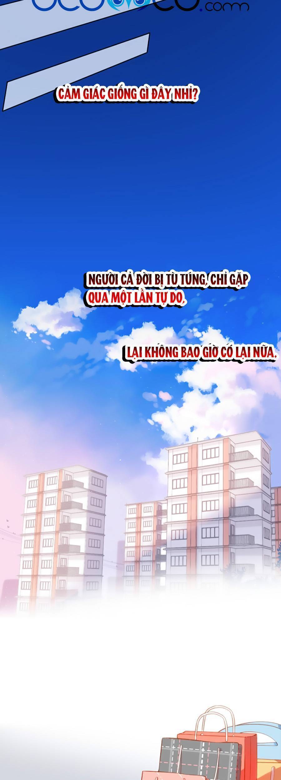 lại gặp được em chapter 131 - Trang 5