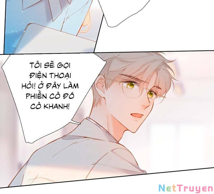 lại gặp được em chapter 137 - Trang 5