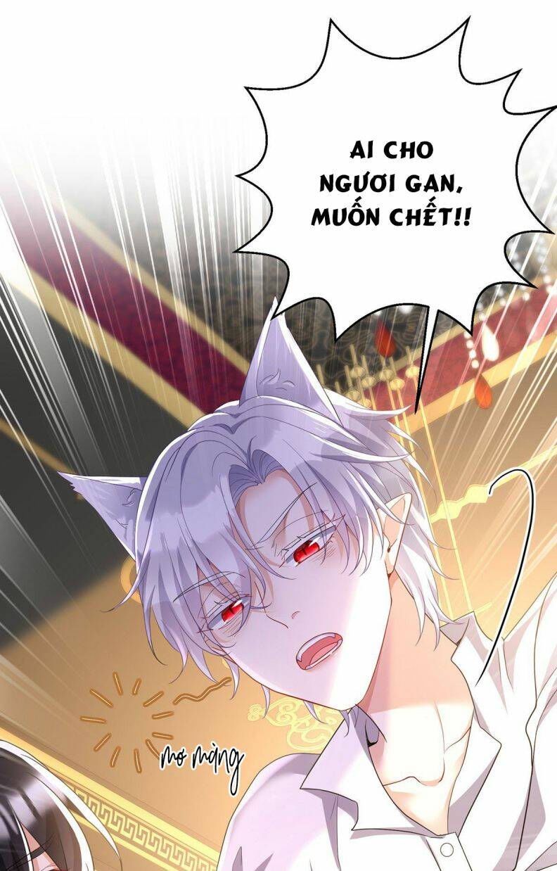 BL Dẫn Sói Vào Phòng Chap 114 - Next Chap 115