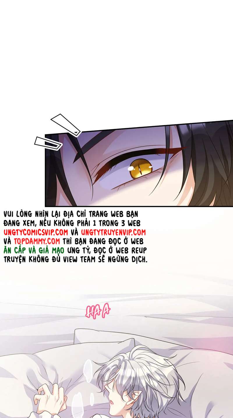 BL Dẫn Sói Vào Phòng Chap 173 - Next Chap 174