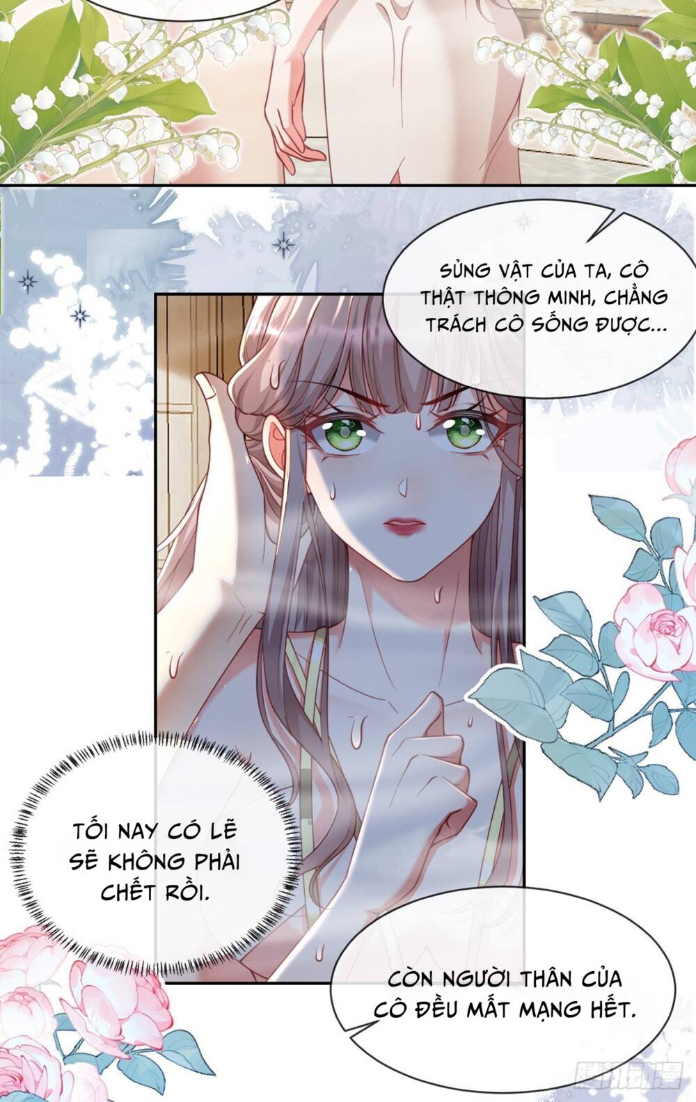 rơi vào tay bạo chúa chapter 5 - Next chapter 6