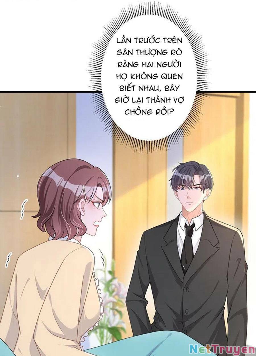 hôm nay từ chối lục tiên sinh chưa? chapter 47 - Next chapter 48