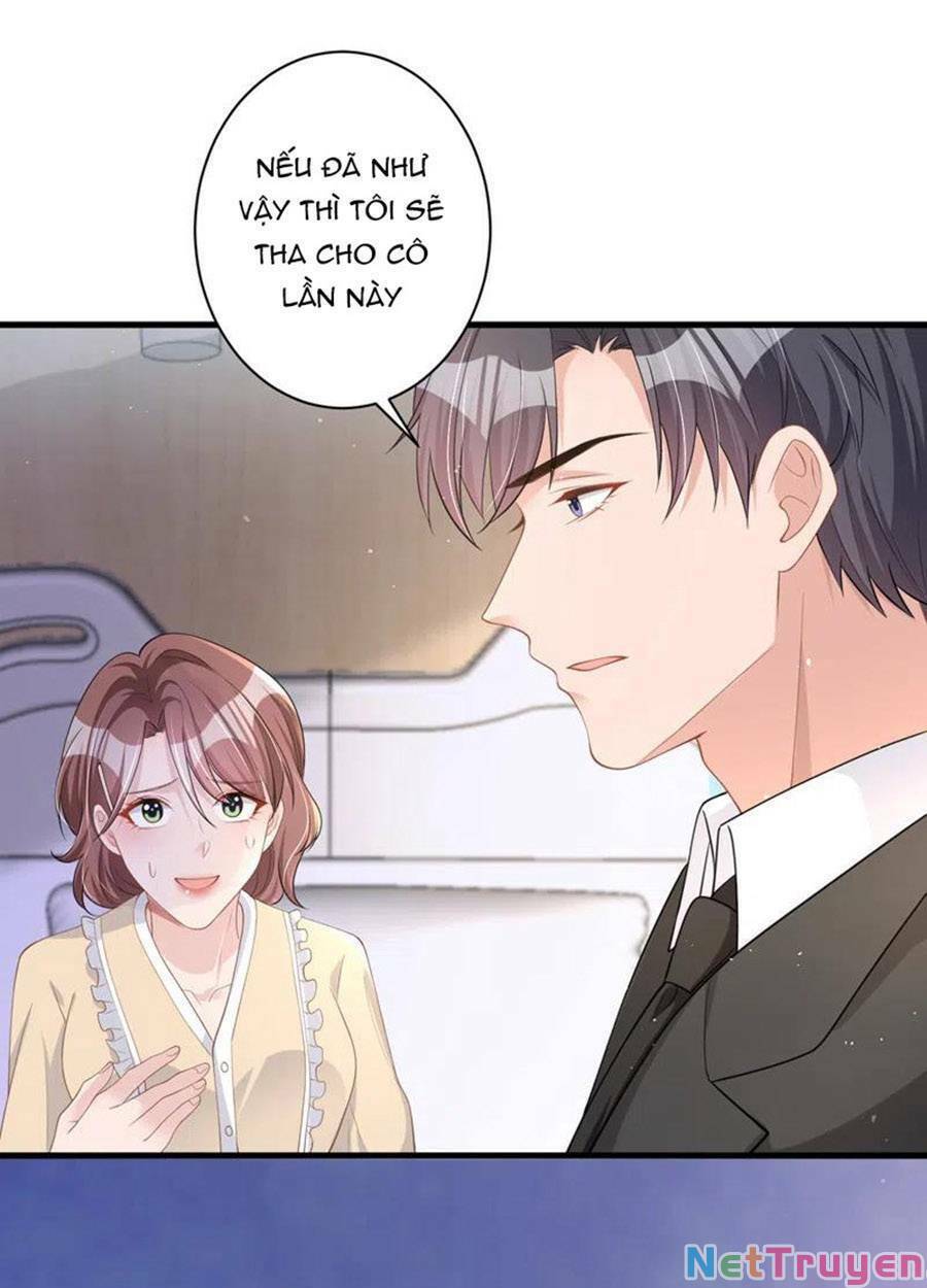 hôm nay từ chối lục tiên sinh chưa? chapter 47 - Next chapter 48