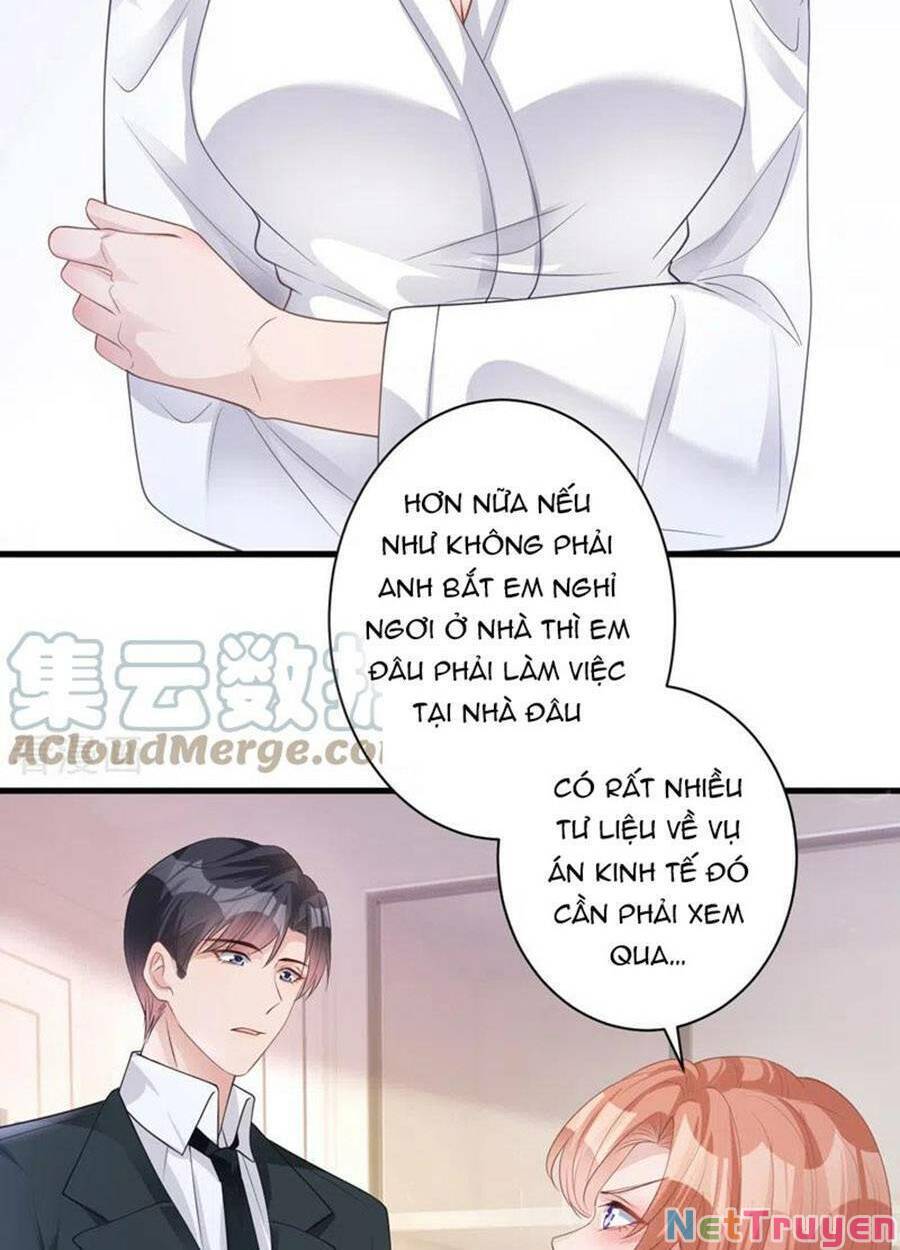 hôm nay từ chối lục tiên sinh chưa? chapter 47 - Trang 5