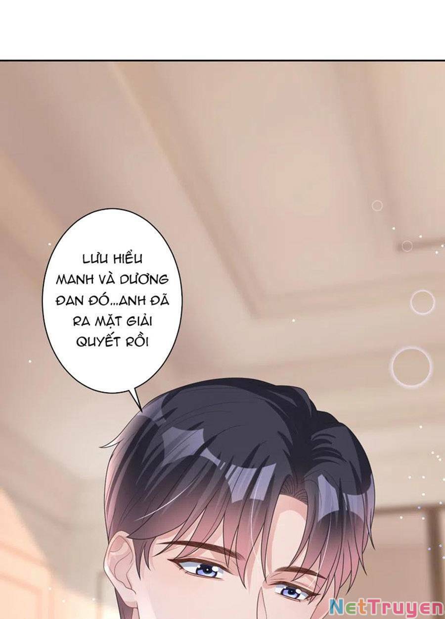 hôm nay từ chối lục tiên sinh chưa? chapter 47 - Trang 5