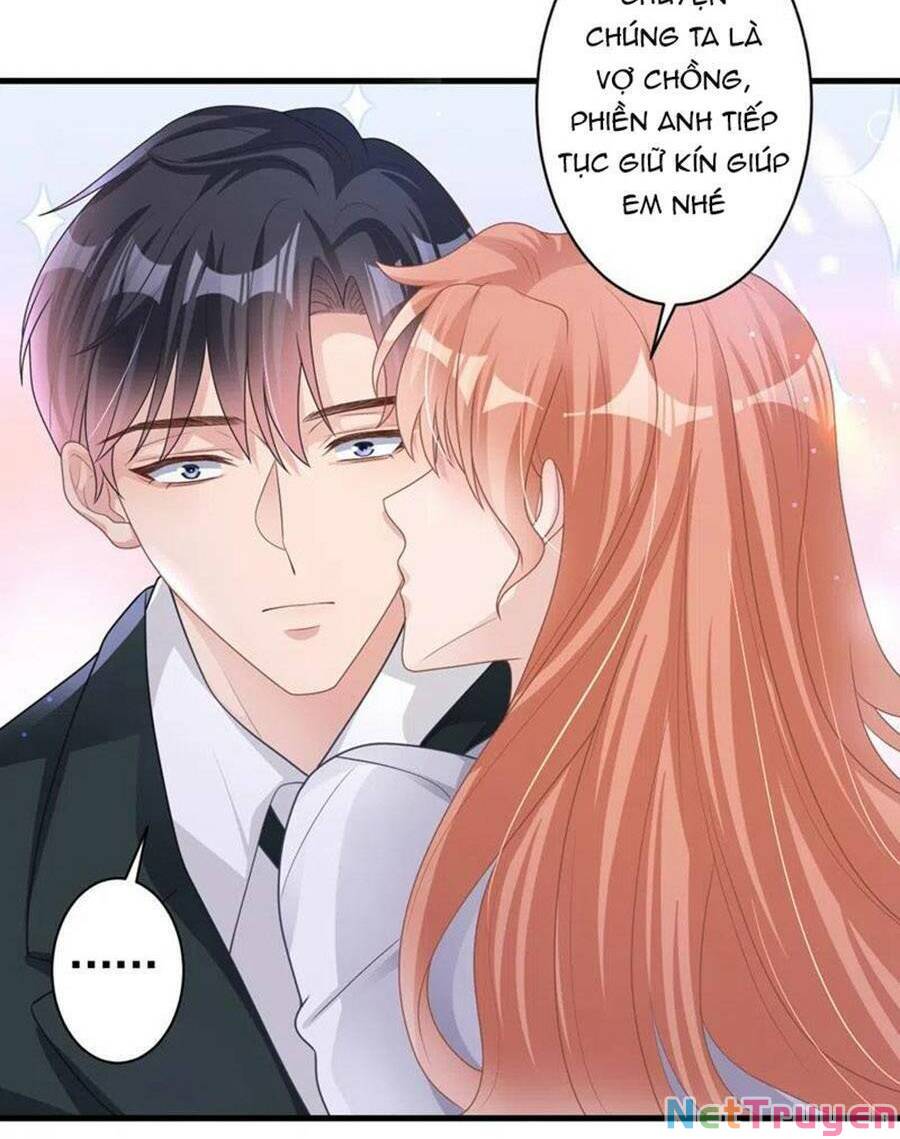 hôm nay từ chối lục tiên sinh chưa? chapter 47 - Next chapter 48