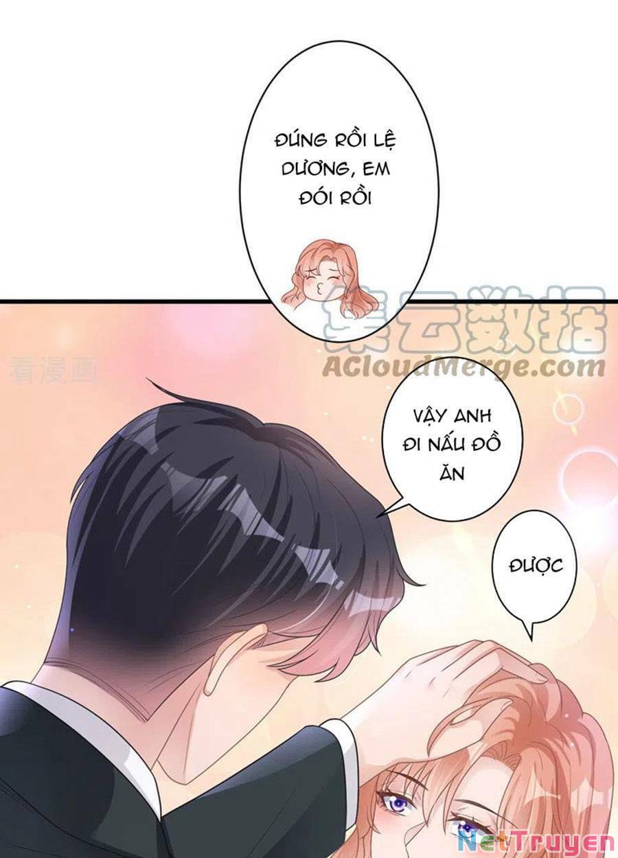 hôm nay từ chối lục tiên sinh chưa? chapter 47 - Trang 5