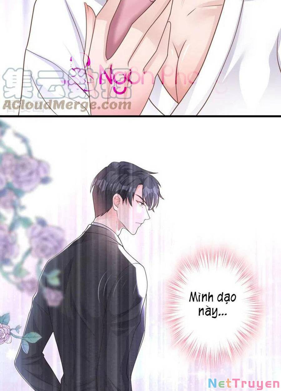 hôm nay từ chối lục tiên sinh chưa? chapter 47 - Trang 5