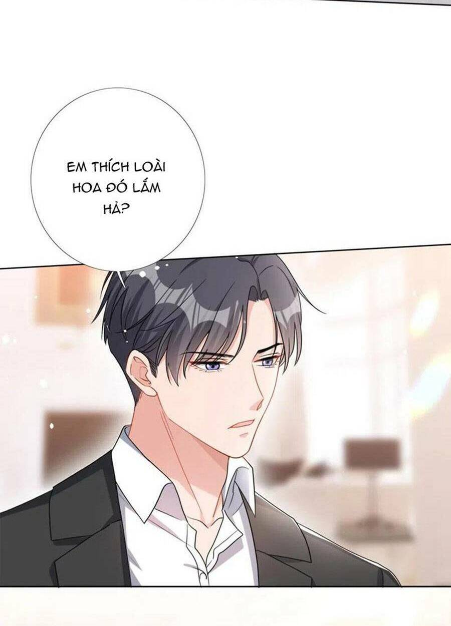 hôm nay từ chối lục tiên sinh chưa? chapter 51 - Next chapter 52