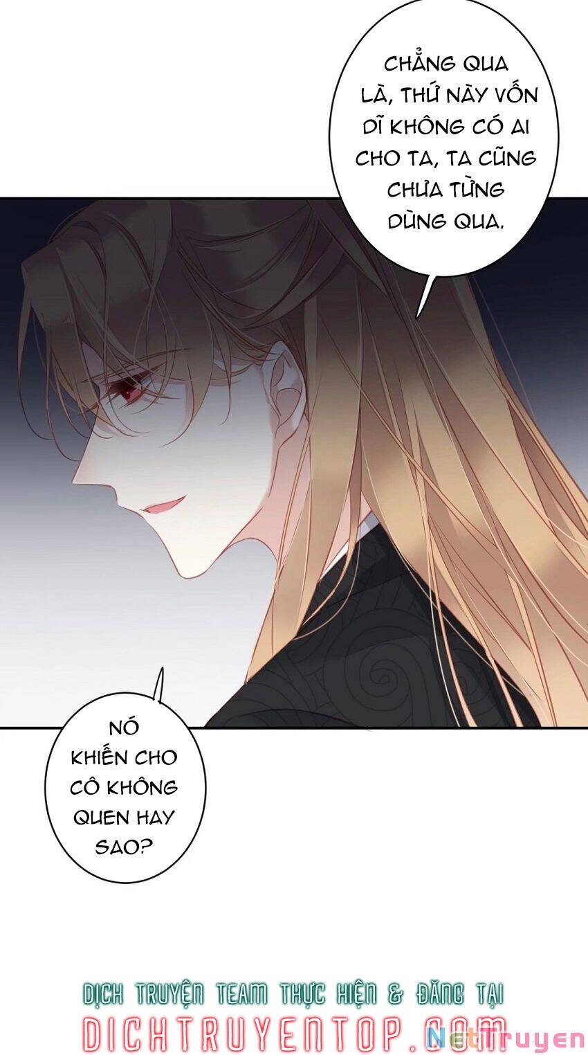 quận chúa bất tư gia chapter 94 - Next chapter 95