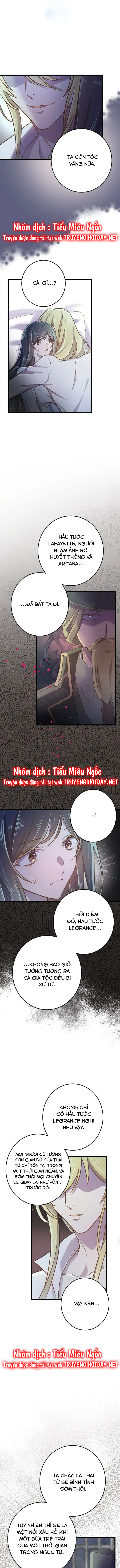 tình yêu thuần khiết Chap 51 - Trang 2