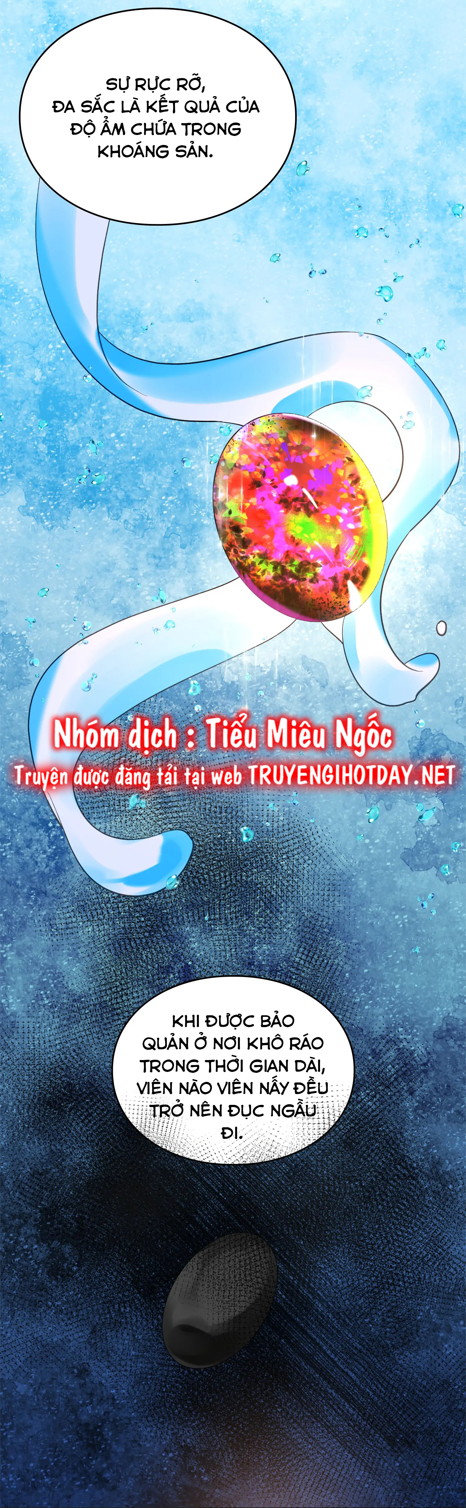 CÂU CHUYỆN VỀ NỮ CÔNG TƯỚC Chap 12 - Trang 2