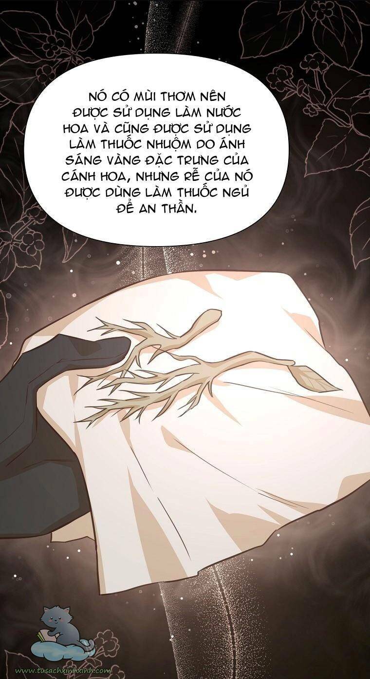 yêu tôi đi, dù sao ngài cũng chỉ là nhân vật phụ chapter 36 - Next chapter 37