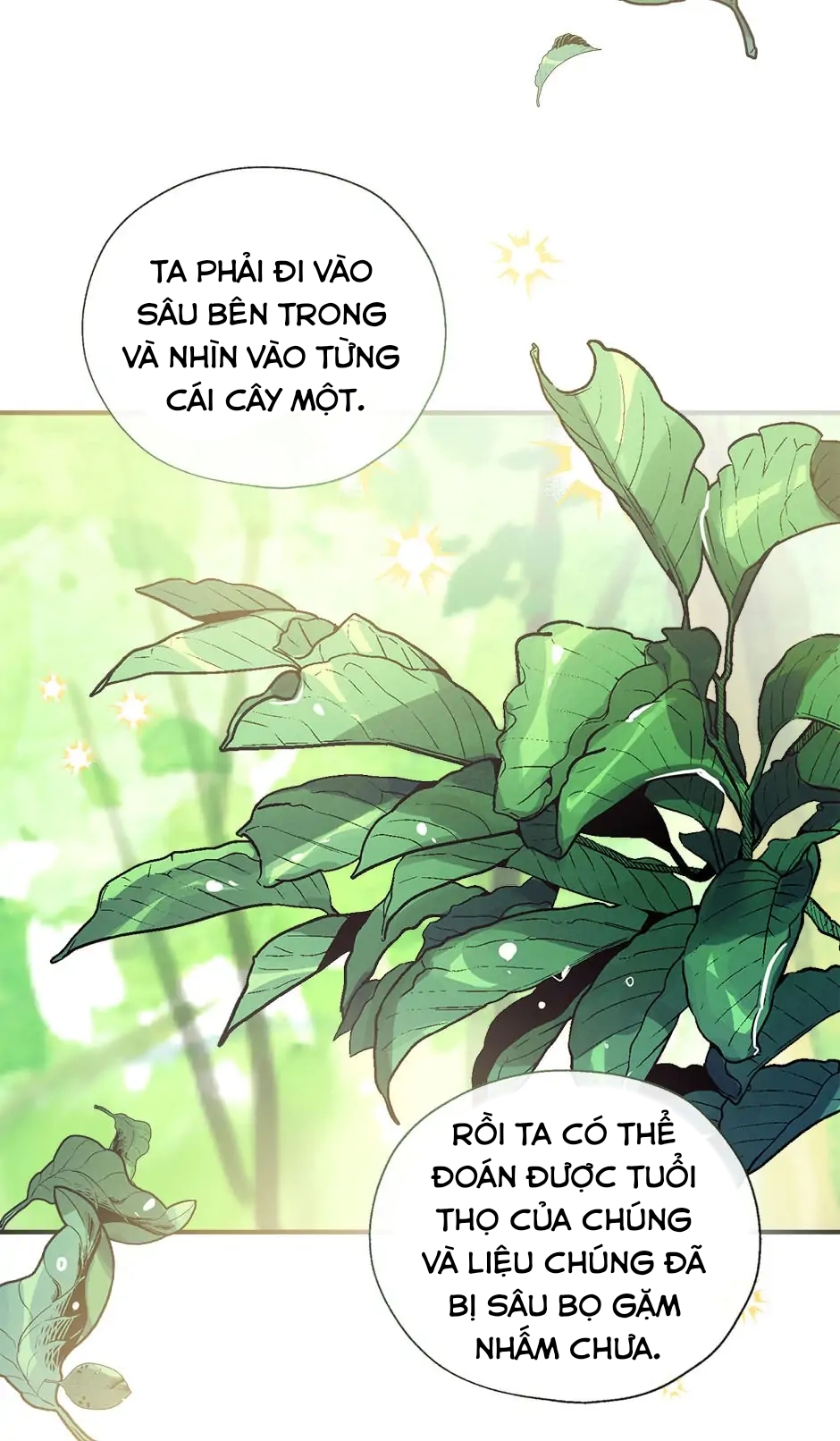 chúng ta có thể trở thành gia đình được không? Chap 50 - Next Chap 51