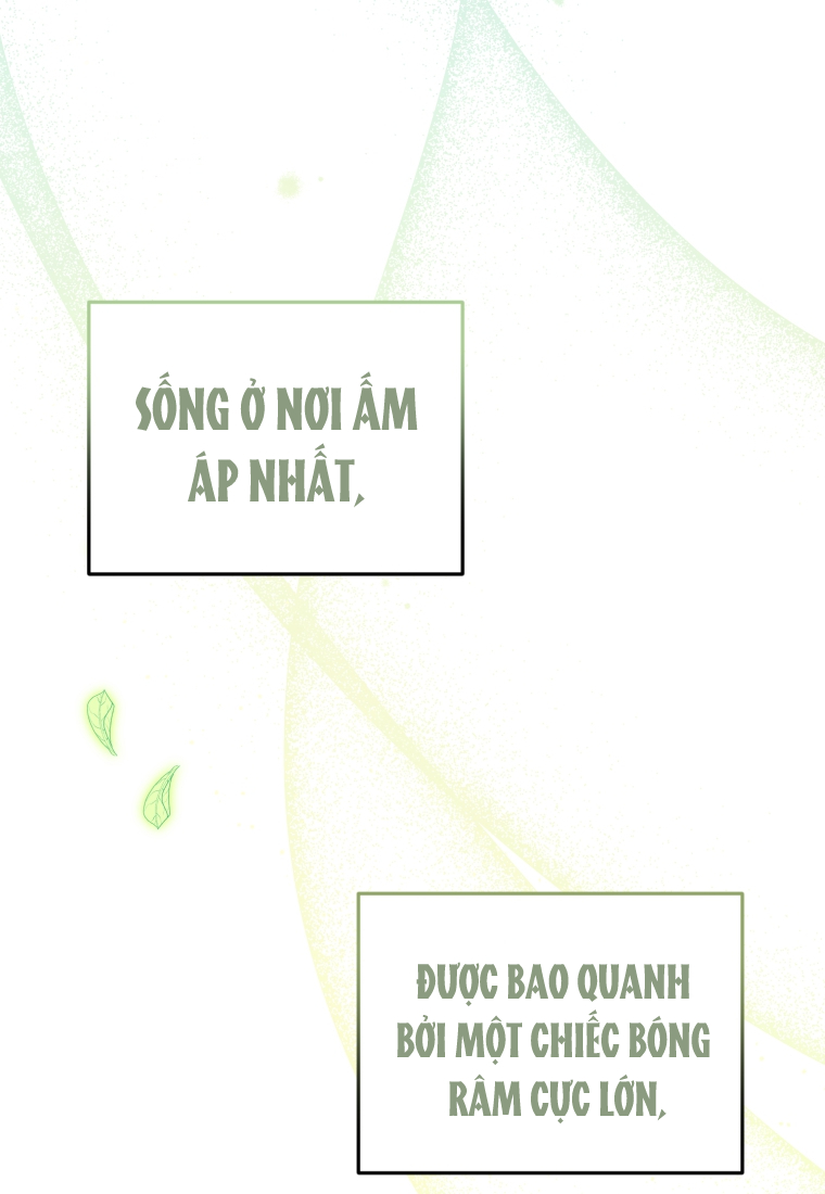 papa tôi là bạo chúa ác ma chapter 9 - Next chapter 10