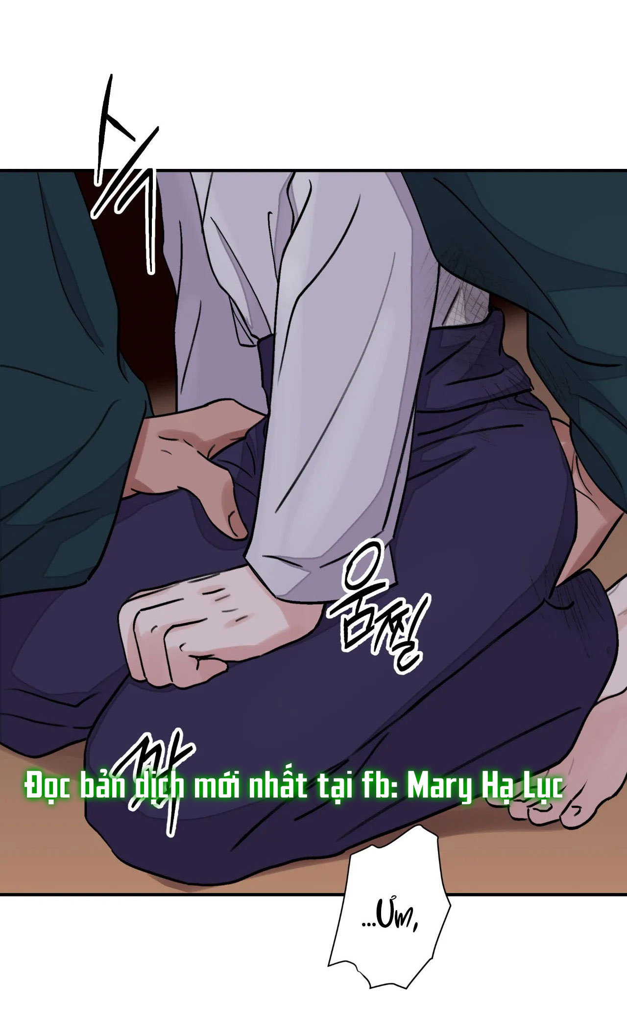 [18+] trượng kiếm tựa hoa Chap 20.1 - Trang 2