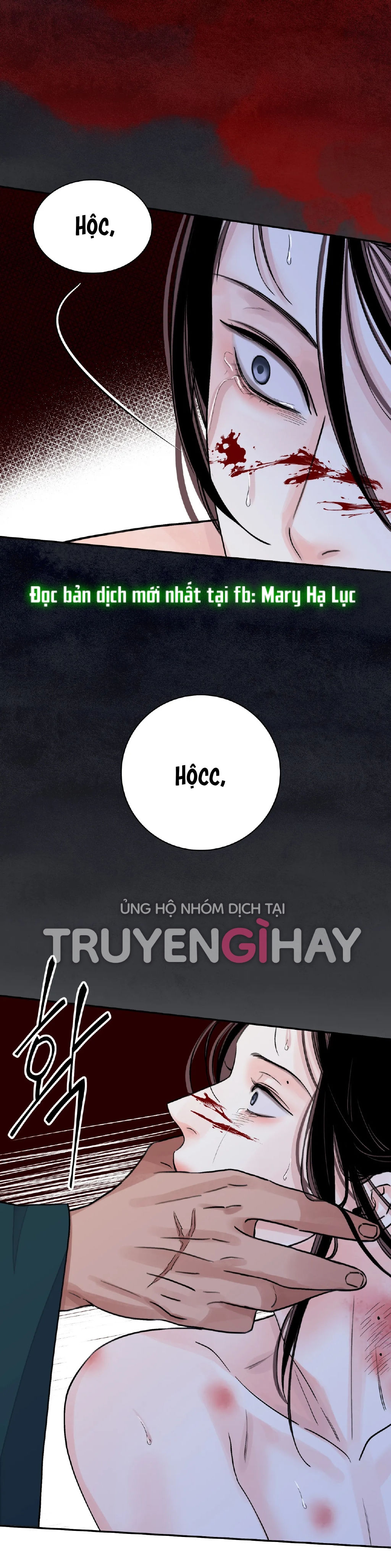 [18+] trượng kiếm tựa hoa Chap 24.2 - Trang 2