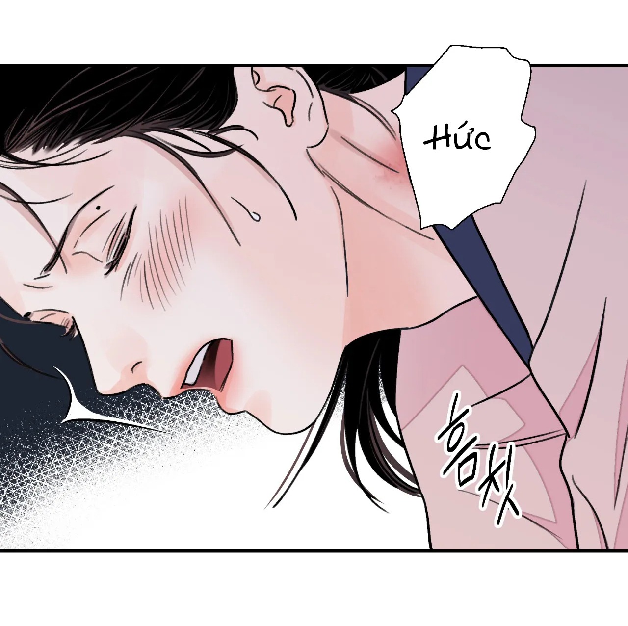 [18+] trượng kiếm tựa hoa Chap 26.2 - Trang 2