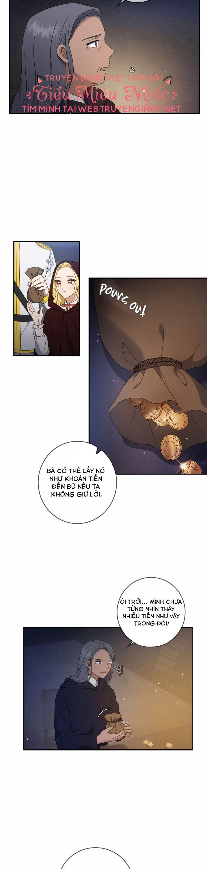 Công chúa hai mặt Chap 13 - Trang 2