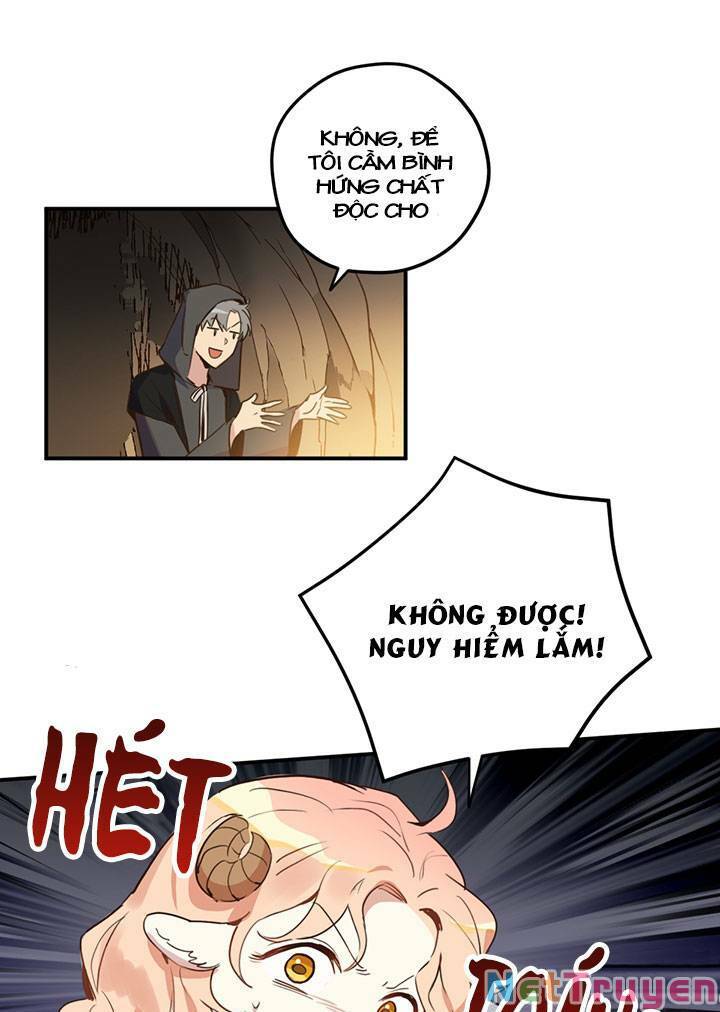 hãy dậy đi hỡi chiến binh chapter 15 - Next chapter 16