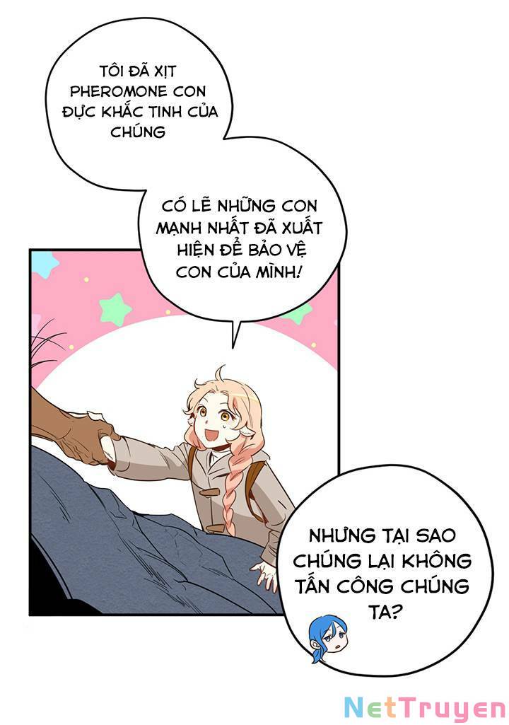 hãy dậy đi hỡi chiến binh chapter 17 - Trang 2