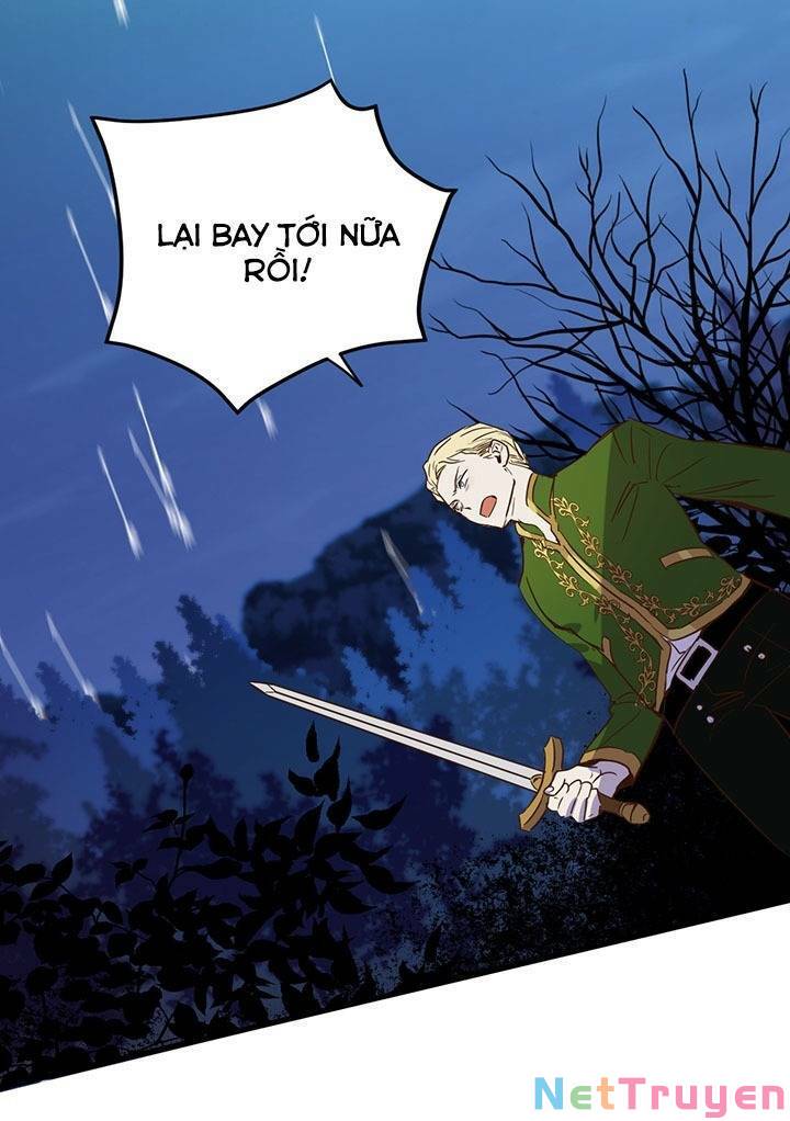 hãy dậy đi hỡi chiến binh chapter 18 - Trang 2