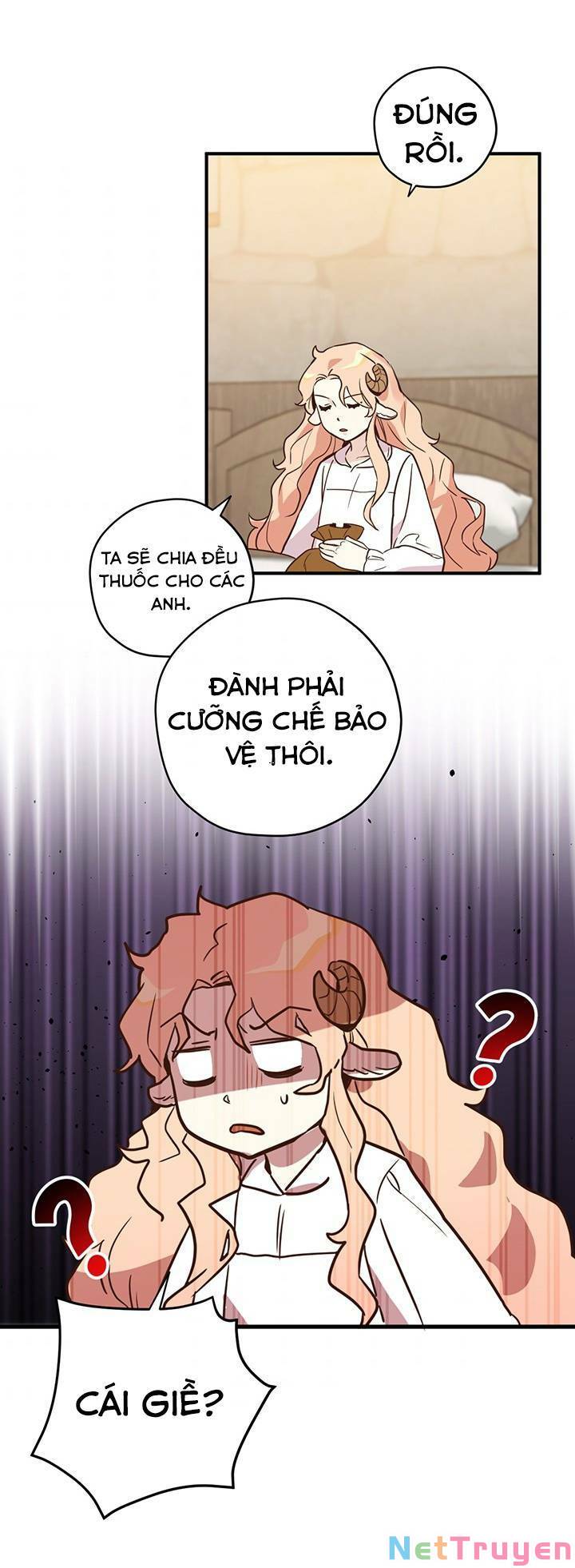 hãy dậy đi hỡi chiến binh chapter 22 - Next chapter 23